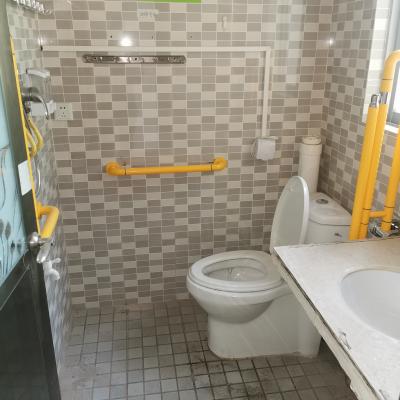 China Modern Disabled Bathroom White Linear ABS Grab Bar for sale