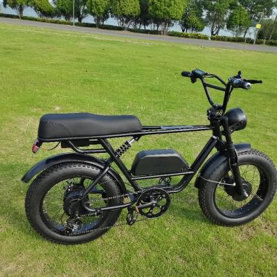 China Front And Rear Motor 48V 1000W Electric Bicycle With 26