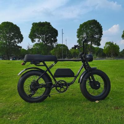 China Front and Rear US Motor Retro E-bike 500W 750W 1000W Bicicleta Electrica Stock Eu Warehouse Motor Two Seat Off Road E Bike Fat Tire Electric Bicycle for sale