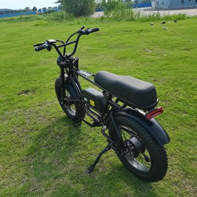 China 2021 Front And Rear Factory Manufacture Various E Bikes Electric Bicycle From China for sale