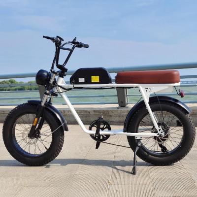 China Bisek Cycle Long Range E-Style Steel Electric Bike Retro Fat Tire 750 Watt Vintage Cruiser Vintage eBike Electric Bicycle for sale