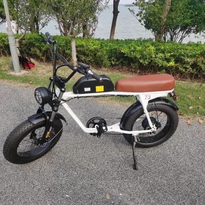 China Steel electric bicycle 48V e bicycle electric bicycle price for sale