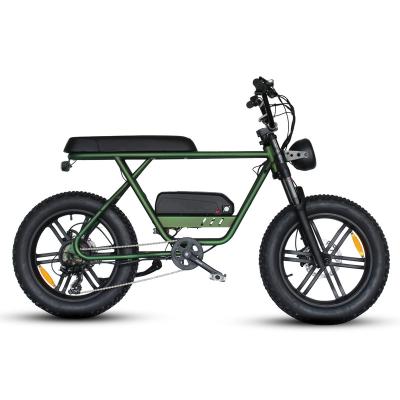 China Aluminum Alloy 48v 750w E-Bikes Price Cheap Fat Tire Mountain Dirt Electric Bicycle Ebike Bicicleta Electrica Te koop