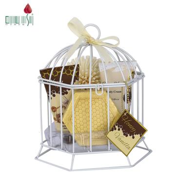 China Best Selling Exfoliator Wire Birdcage Skin Care Natural Body Exfoliator Scrub Gift Bath Set With Eva Sponge for sale