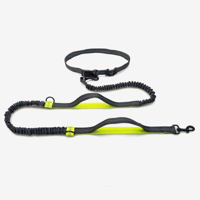 China Fast Reflective Grassland Pet Double Leash OEM Fanny Pack Sports Leash Dog Running Leash for sale