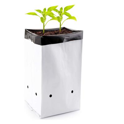 China Durable Thickened Plastic Nursery Bags Black And White PE Polyethylene Grow Bags For Plants Fruit Flower Seedling Planting Bags for sale