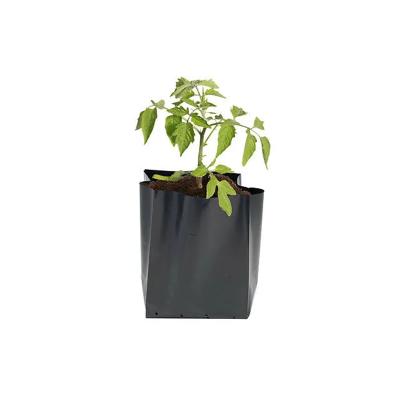 China Durable Perforated Plastic Poly/Black And White PE Plastic Black Grow Bag, Garden Planting Bags For Tree, Flower, Vegetable Growing for sale