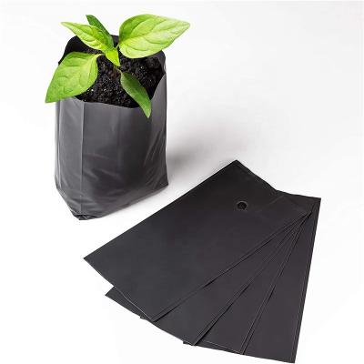 China Durable PE Plastic Nursery Bags Plant Grow Bags With Breathable Holes For Fruit Vegetables Flowers Garden Supplies for sale