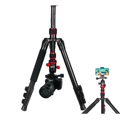 China Digtal Camera/Video Camera ZOMEI M5 Portable Tripod Selfie Stick Ringlight Reverse Folding Monopod For Digital Camera Spotlight for sale