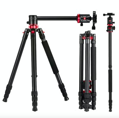 China New ZOMEI M8 PORTABLE Lightweight Professional Camera Tripod for Dslr Camera and Mobile Photography Tripod for sale