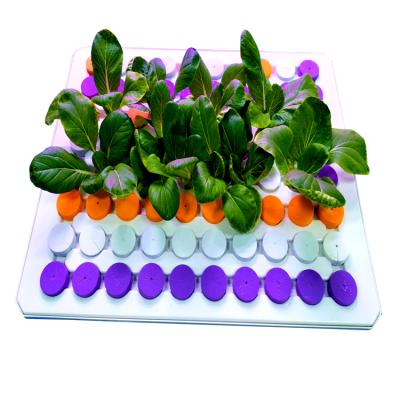 China ABS Plastic Ebb and Flow Trays Grow Tray Hydroponic System Greenhouse 80 Holes Hydroponic Tray for sale