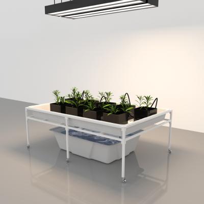 China Ebb And Flow Tray System 4x8 Plastic Bench To Elevate Plastic Drain 4x8 Flood Elevate Trays Flood Tables With Trays for sale