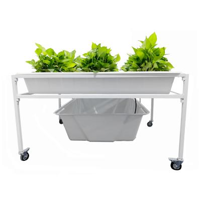 China ABS+Steel Quick Easy Fit Install Drainage Tray Stand 3x6FT Flood Hydroponic Table Hydroponic Tables For Sale for sale