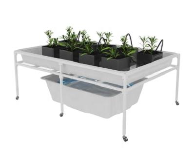 China Greenhouse Seedling Growing Drainage Tray Stand Greenhouse Table 4x8 Durable Hydroponic Table Grow Tray Stand With Wheels for sale