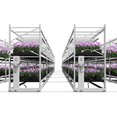 China Farms Vertical Growing Tables Multi-Layer Indoor Agricultural Growing System Grow Table Rack Hydroponic Growing Multi-Tier Mobile Grow Racks for sale