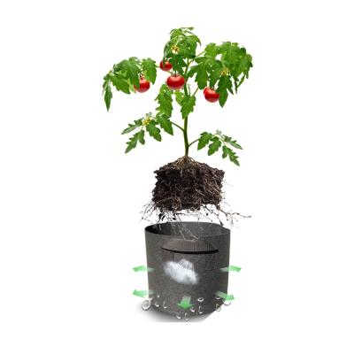 China Hot Sale Eco-friendly Hydroponic Fabric Grow Sack Planter Sack Potato 5 Gallon Grow Bag 10 Gallon Durable For Greenhose for sale