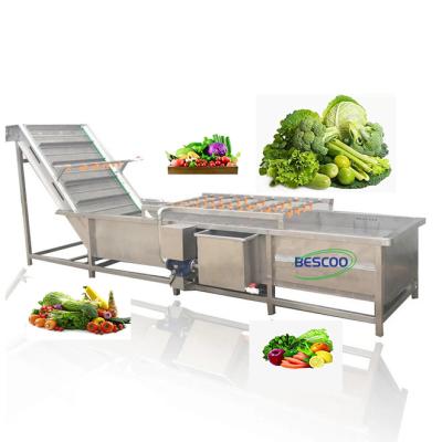 China Fruit processing plant fresh fruit seal machine root vegetable washing machine fresh food for sale