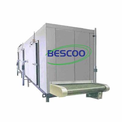 China High Effiency Bargain Price High Quality Frozen Meat And Fruit Tunnel Freezing Freezer for sale