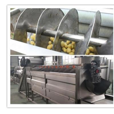 China Automatic Fruit Processing Plant Carrot Peeling Machine Kitchen Equipment for sale