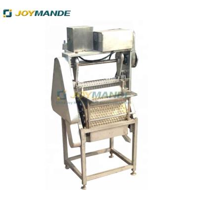 China High Efficiency Industrial Cherry Coring Pitting Decoring Machine with CE for sale