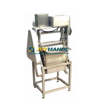 China High Efficiency Cherry Pitting Machine Cherry Core Removing Machine Cherry Decorating Machine for sale