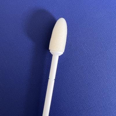 China Plastic Sponge Cytobrush- PU Cervical Cancer Screening for Cytology and HPV Test with - Certificate-Manufacturer CE0197-ISO13485 for sale