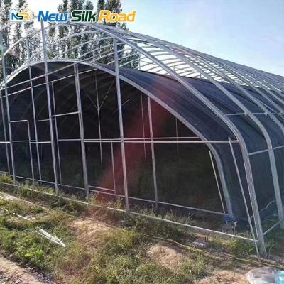 China Customized high quality double arch NSR greenhouse plant outlet plastic sheet blackout greenhouse cbg insulation for sale