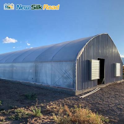 China Lightweight Arch Deprivation System NSR Greenhouse Single Span Single Light Deprivation Blackout Greenhouse for sale