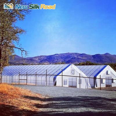 China Lightweight Simple Single Span Greenhouse Film Single Light Deprivation System NSR Deprivation Blackout Greenhouse for sale