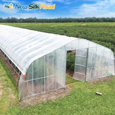 China Single Span NSR Greenhouse Factory Price Sale Single-span Agricultural Greenhouse For Sale for sale