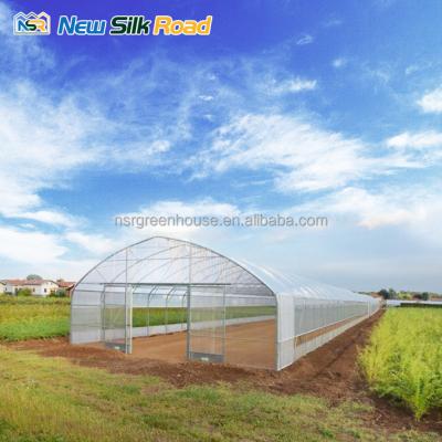 China Small Agricultural Flowers NSR Vegetable Greenhouse Fruit Tunnel/Single-span Circle Film Greenhouse For Hydroponics Growing for sale