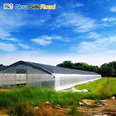 China Size Can Be Customized NSR Greenhouse Steel Frame Low Cost Galvanized Agricultural Greenhouse Single-Span For Factory for sale