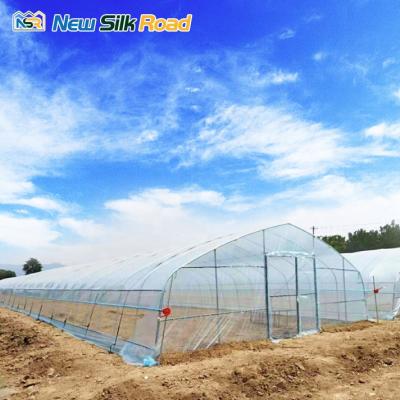 China Factory Price Single Span NSR Greenhouse Hot Sale Greenhouse Agricultural Tools For Sale for sale