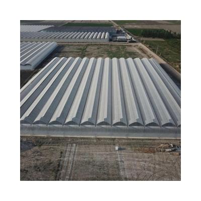 China Commercial Plastic Film Greenhouse Multi-span Plastic Film Green House Thrown Agricultural Greenhouse for sale