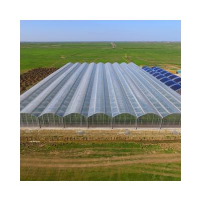 China Plastic Sheet Factory Price Agriculture Multi-span Commercial Plastic Sheet Greenhouse for sale