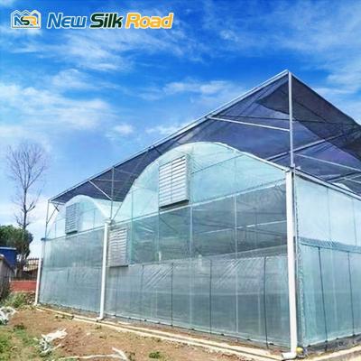 China Economic Plastic PE NSR Greenhouse China Greenhouse Greenhouse Plant Tunnel for sale