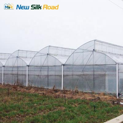 China NSR Greenhouse Cheap Economic Multi-span Sawtooth Agricultural Planting Greenhouse For Sale for sale