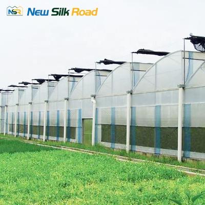 China NSR Greenhouse Economical Multi-span Hurricane Agricultural Planting Greenhouse for sale