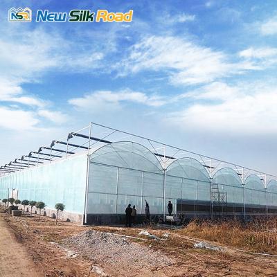 China Economic Plastic NSR Greenhouse PO/PE Double Arch Agricultural Planting Greenhouse for sale