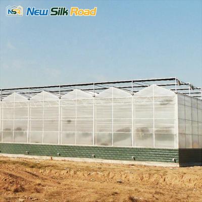 China Cheap Economical Agriculture NSR Greenhouse Multi-span Polycarbonate Agricultural Greenhouse for sale