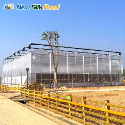 China Economic Agriculture NSR Greenhouse China Multi-span Polycarbonate Polycarbonate Greenhouse for sale