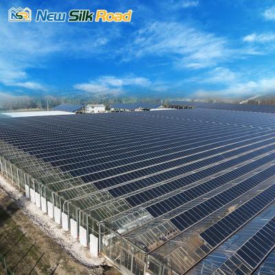 China Vegetable high quality flowers fruits pe film solar powered greenhouse for agriculture low cost for sale