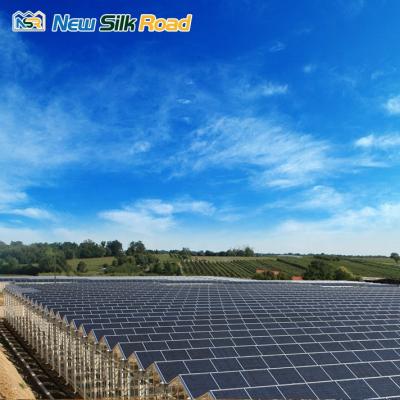 China Fruits Vegetable Flowers Hot Selling Customized Size Agricultural Used Professional Solar Powered Greenhouse for sale