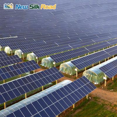 China Vegetable Fruits Flowers Best Price Commercial Solar Agricultural Greenhouse With Irrigation System for sale