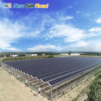 China Vegetable Fruit Flower Solar Power Greenhouse And Glass Greenhouse With Nft Hydroponic Growing System For Sale for sale