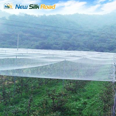 China Vegetable And Fruit Planting NSR Greenhouse Cheap HDPE Agricultural Net House Greenhouse For Africa Countries for sale