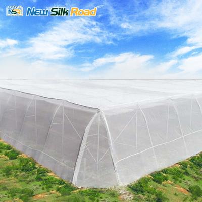 China Vegetable And Fruit Planting NSR Greenhouse Cheap HDPE Agricultural Mesh Greenhouse For Africa Countries for sale