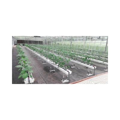 China Stable Structurection Works 2021 Plant Stable PC Sheet Structure Hydroponic System Nft Strawberry Fruit Flowers Greenhouse for sale