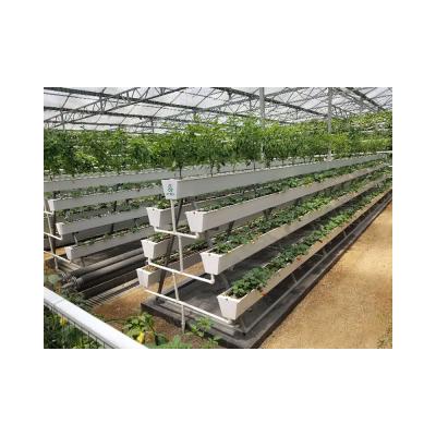 China Professional Design New Listing Grow Roof Panel Milling Design Food Grade Plastic PVC A Type Professional Greenhouse for sale