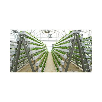 China Professional Design Factory Outlet Grow Strawberry Design Food Grade PVC Professional Soilless Crop PVC Pipe for sale